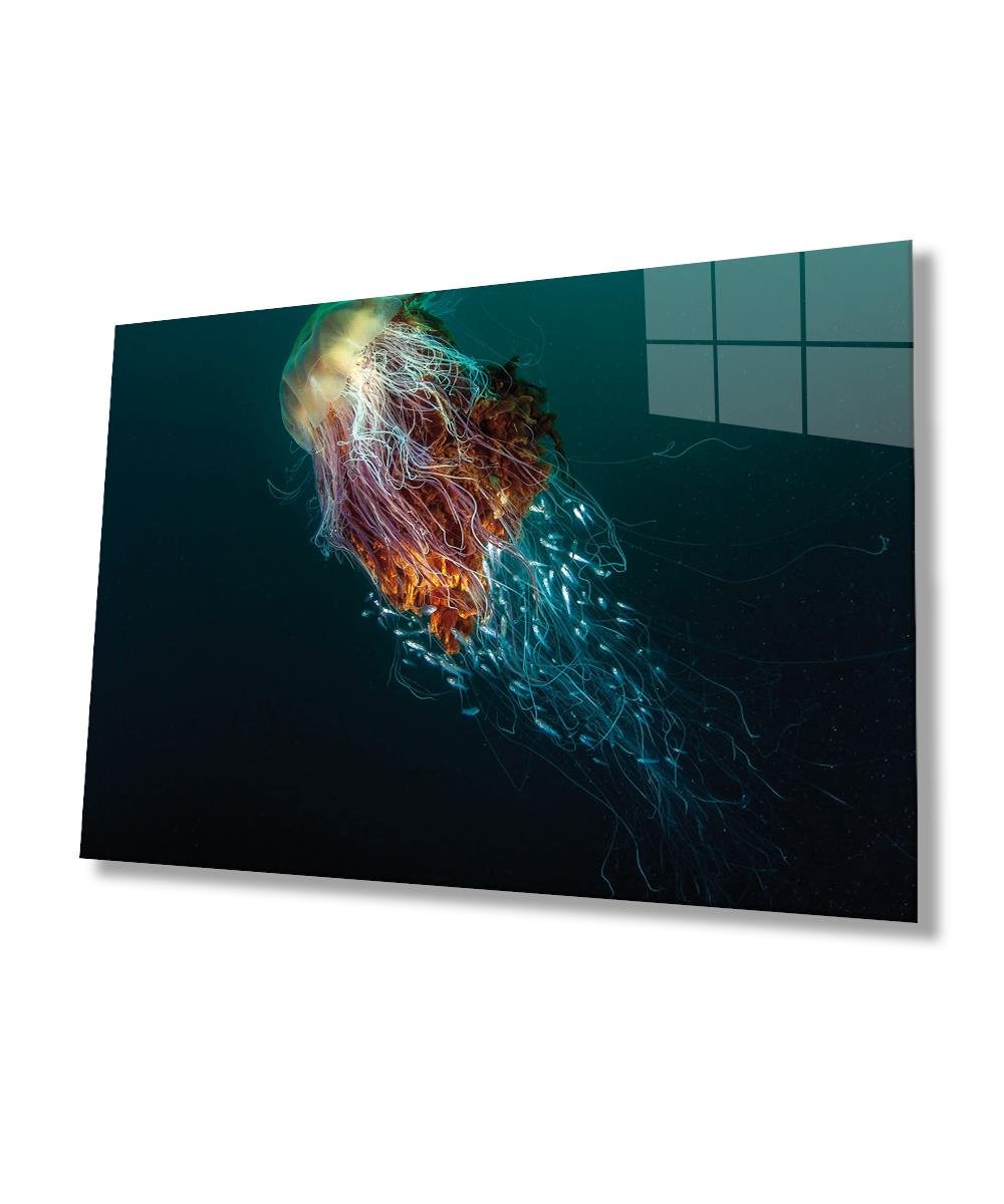 Denizanası Cam Tablo  4mm Dayanıklı Temperli Cam, Jellyfish Glass Wall Art
