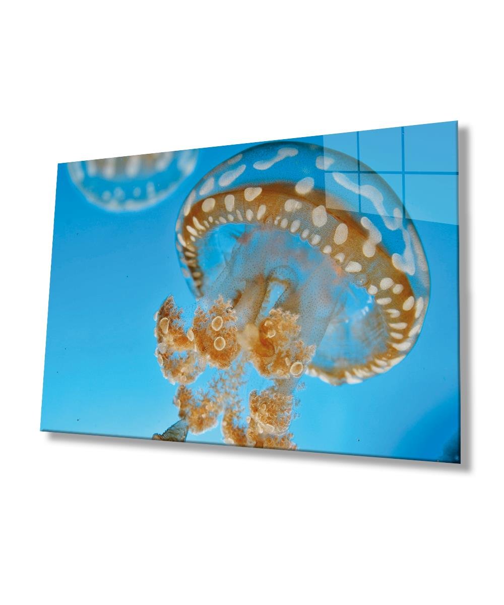 Denizanası Cam Tablo  4mm Dayanıklı Temperli Cam, Medusae Glass Wall Art