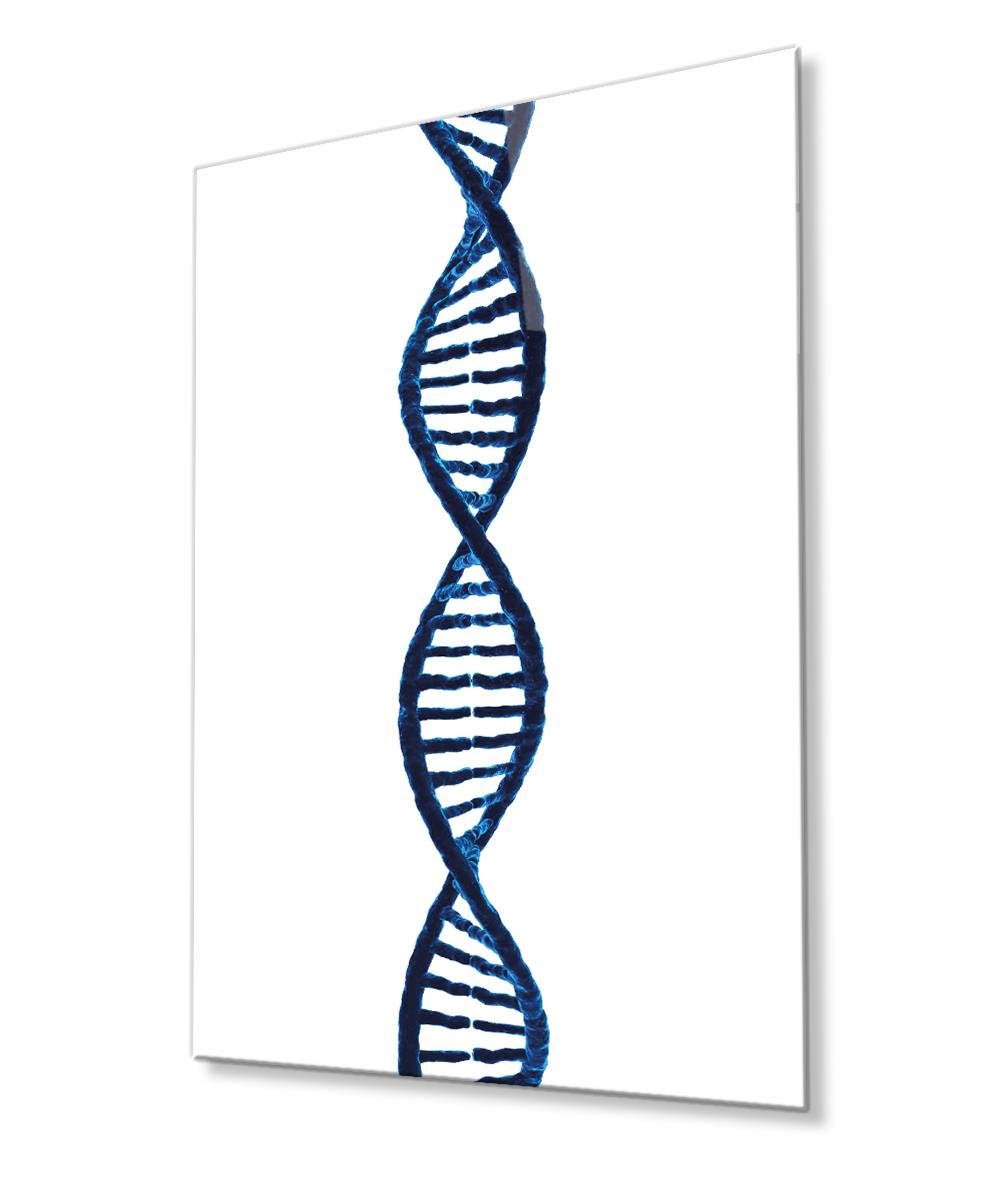 DNA Geometrik Mimari Cam Tablo  4mm Dayanıklı Temperli Cam, Geometric Architecture Glass Wall Decor