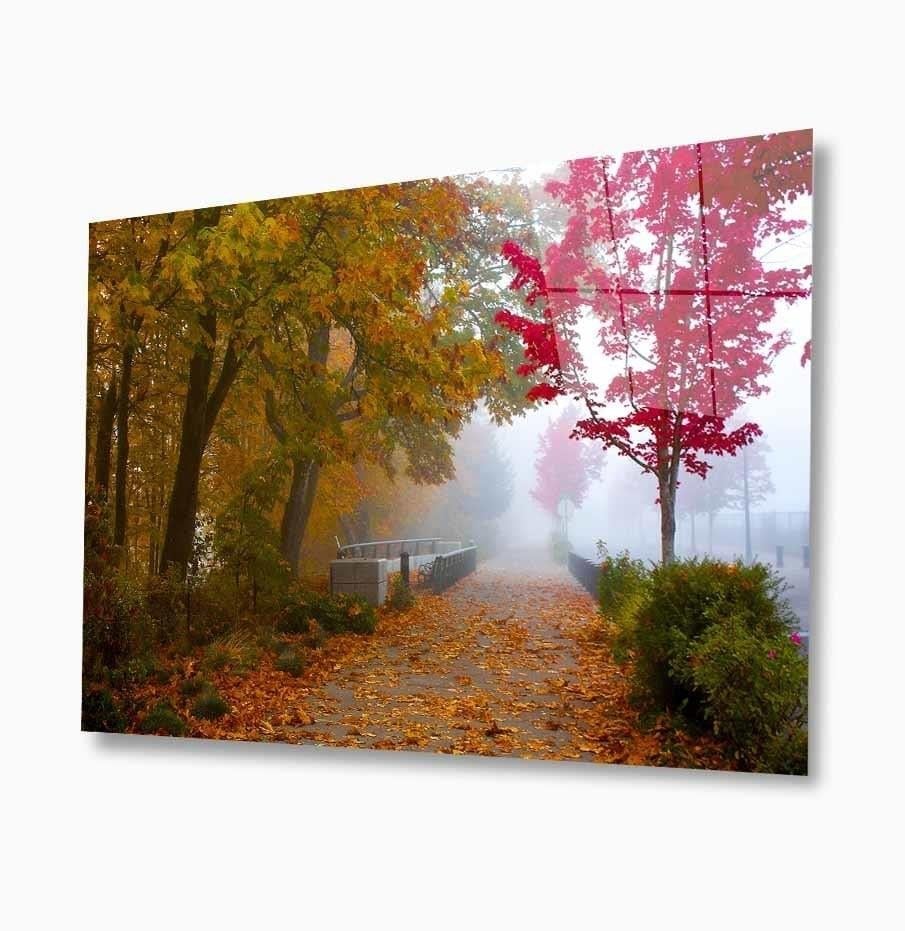 Doğa Cam Tablo  4mm Dayanıklı Temperli Cam