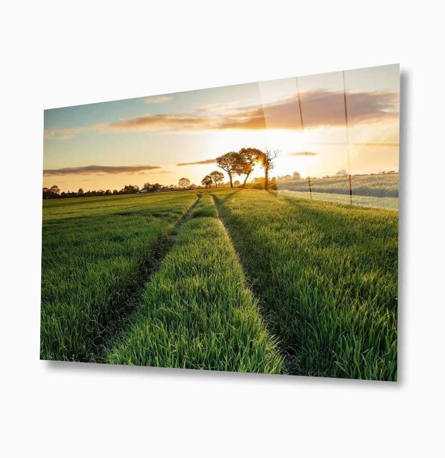 Doğa Cam Tablo  4mm Dayanıklı Temperli Cam