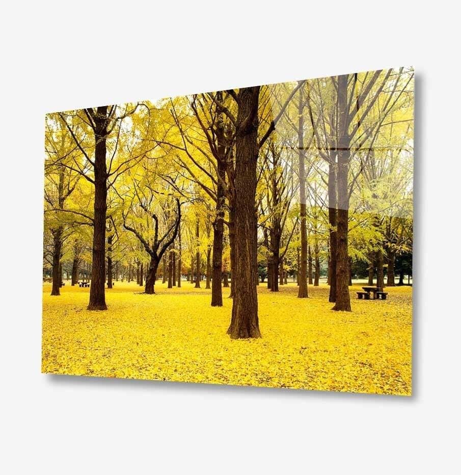 Doğa Cam Tablo  4mm Dayanıklı Temperli Cam