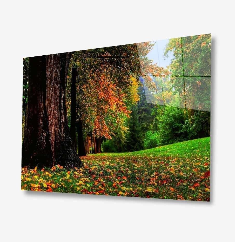 Doğa Cam Tablo  4mm Dayanıklı Temperli Cam