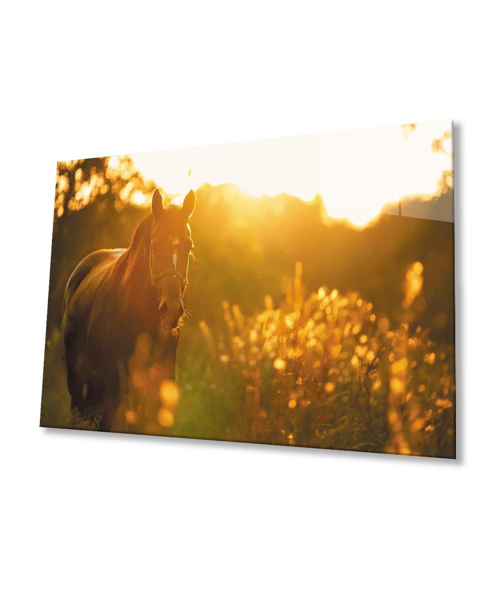 Doğada At 4mm Dayanıklı Cam Tablo Temperli Cam,Horse in Nature