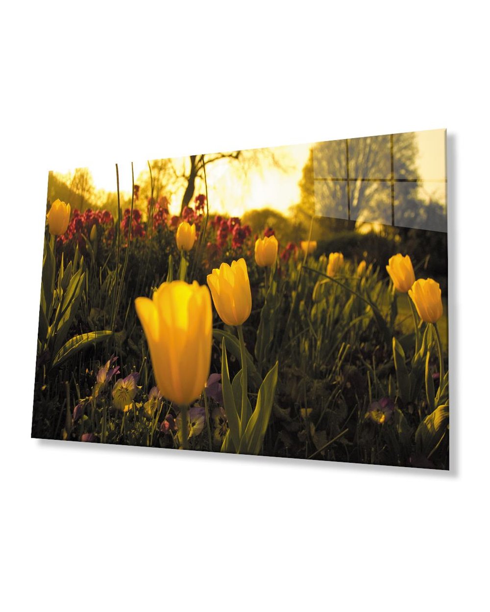 Gün Batımı Sarı Laleler  Cam Tablo  4mm Dayanıklı Temperli Cam Sunset Yellow Tulips Glass Table 4mm Durable Tempered Glass