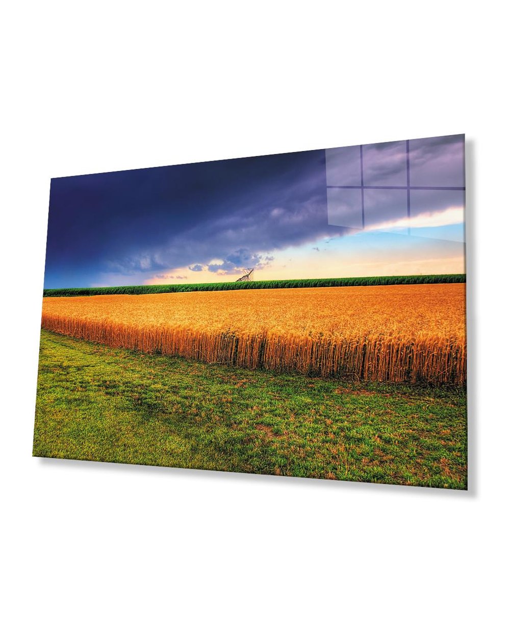 Gün Batımında Başaklar Mavi Sarı Renkli  Cam Tablo  4mm Dayanıklı Temperli Cam Spikes At Sunset Blue Yellow Tinted Glass Table 4mm Durable Tempered Glass