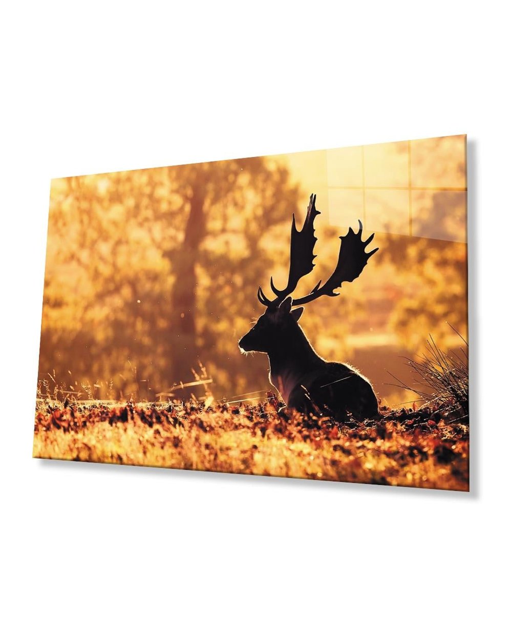 Gün Batımında Geyik Sarı Cam Tablo  4mm Dayanıklı Temperli Cam Deer Yellow Glass Table At Sunset 4mm Durable Tempered Glass