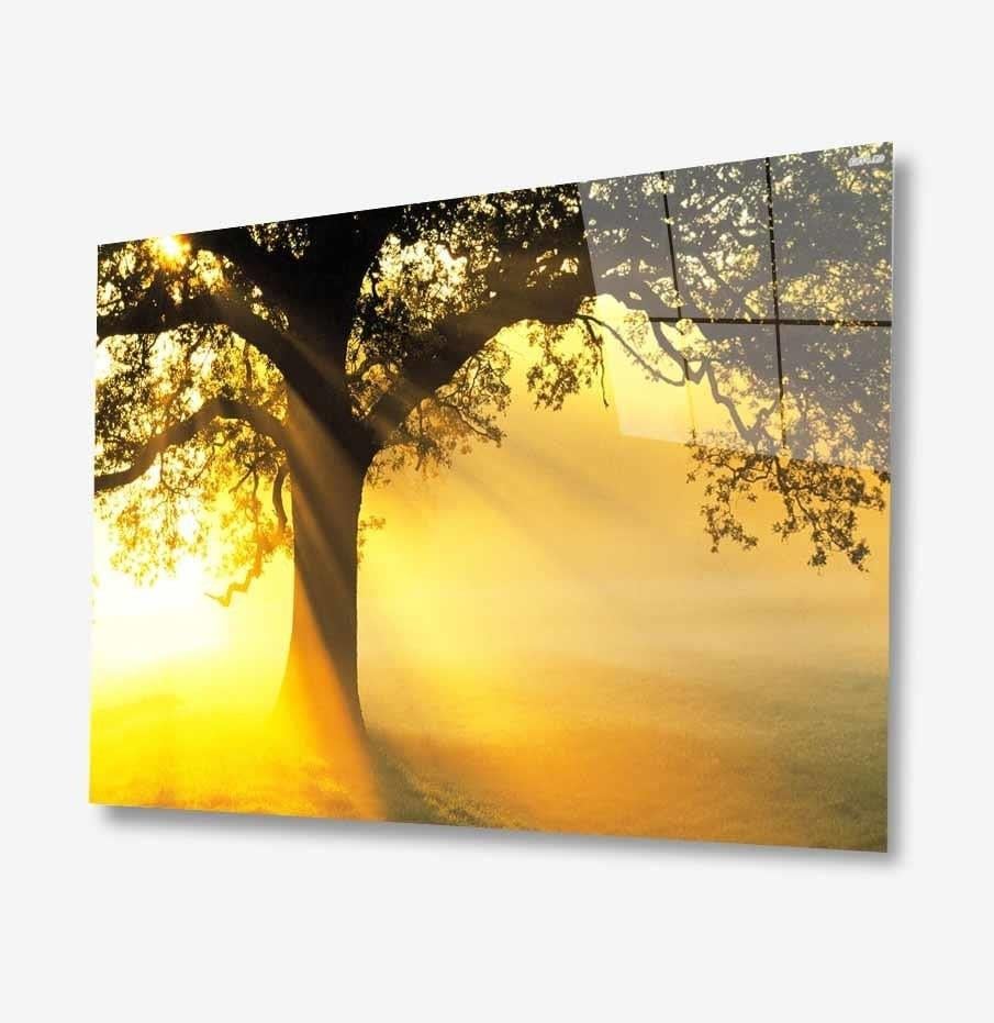 idealizbiz Doğa Cam Tablo  4mm Dayanıklı Temperli Cam