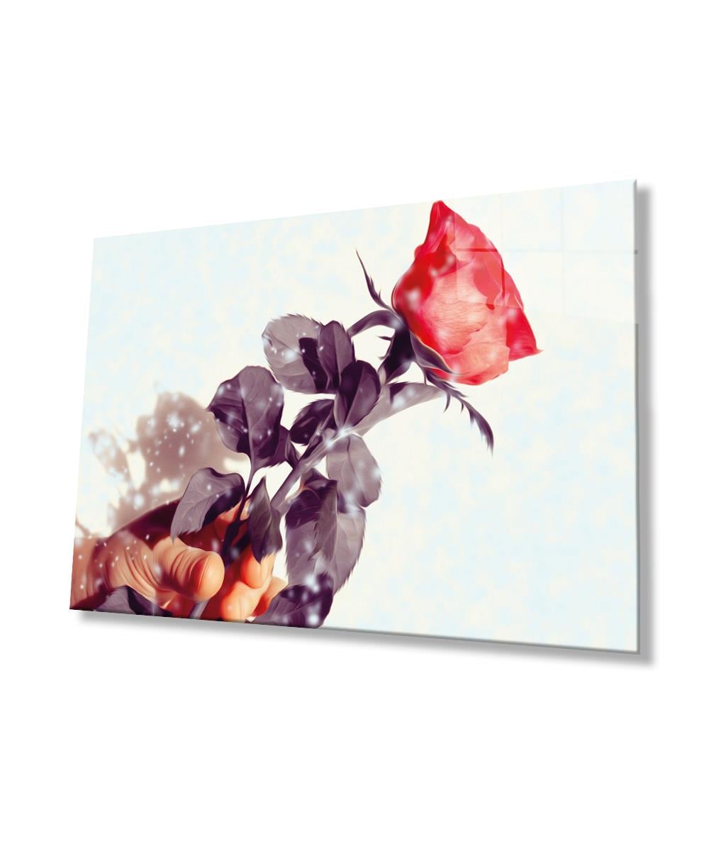 İllüstrasyon Cam Tablo  4mm Dayanıklı Temperli Cam, Illustration Art Glass Wall Decor