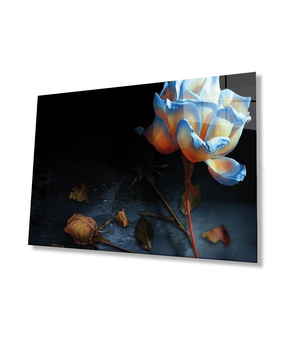 İllüstrasyon Cam Tablo  4mm Dayanıklı Temperli Cam, Illustration Art Glass Wall Decor