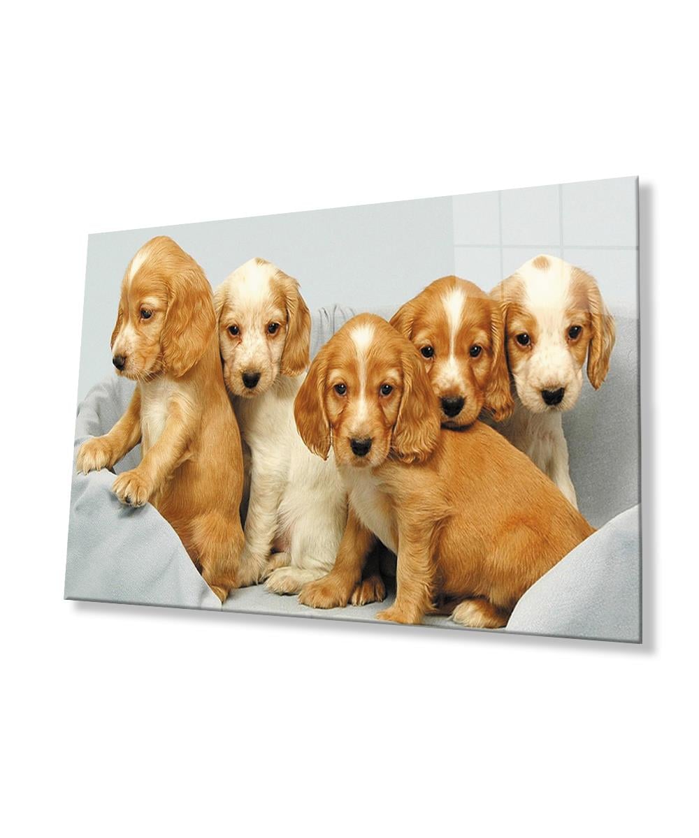 Kahverengi Köpekler  Cam Tablo  4mm Dayanıklı Temperli Cam