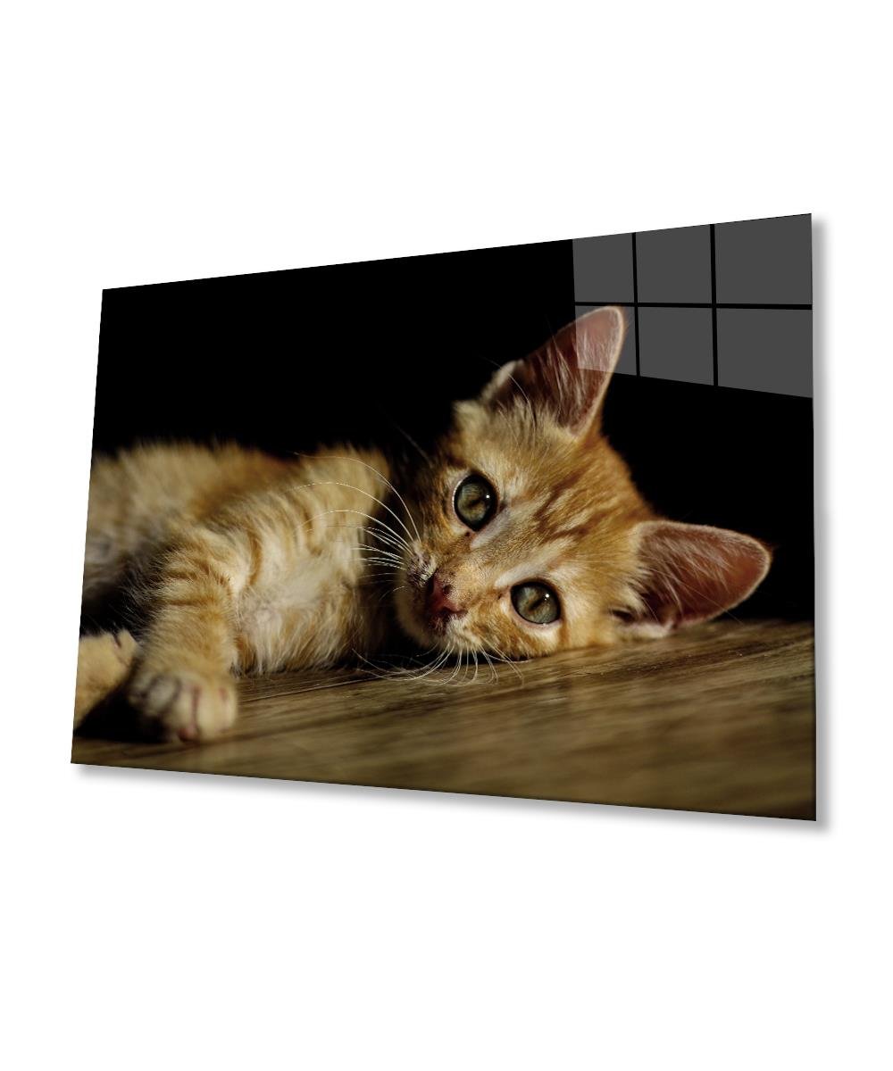Kedi Cam Tablo