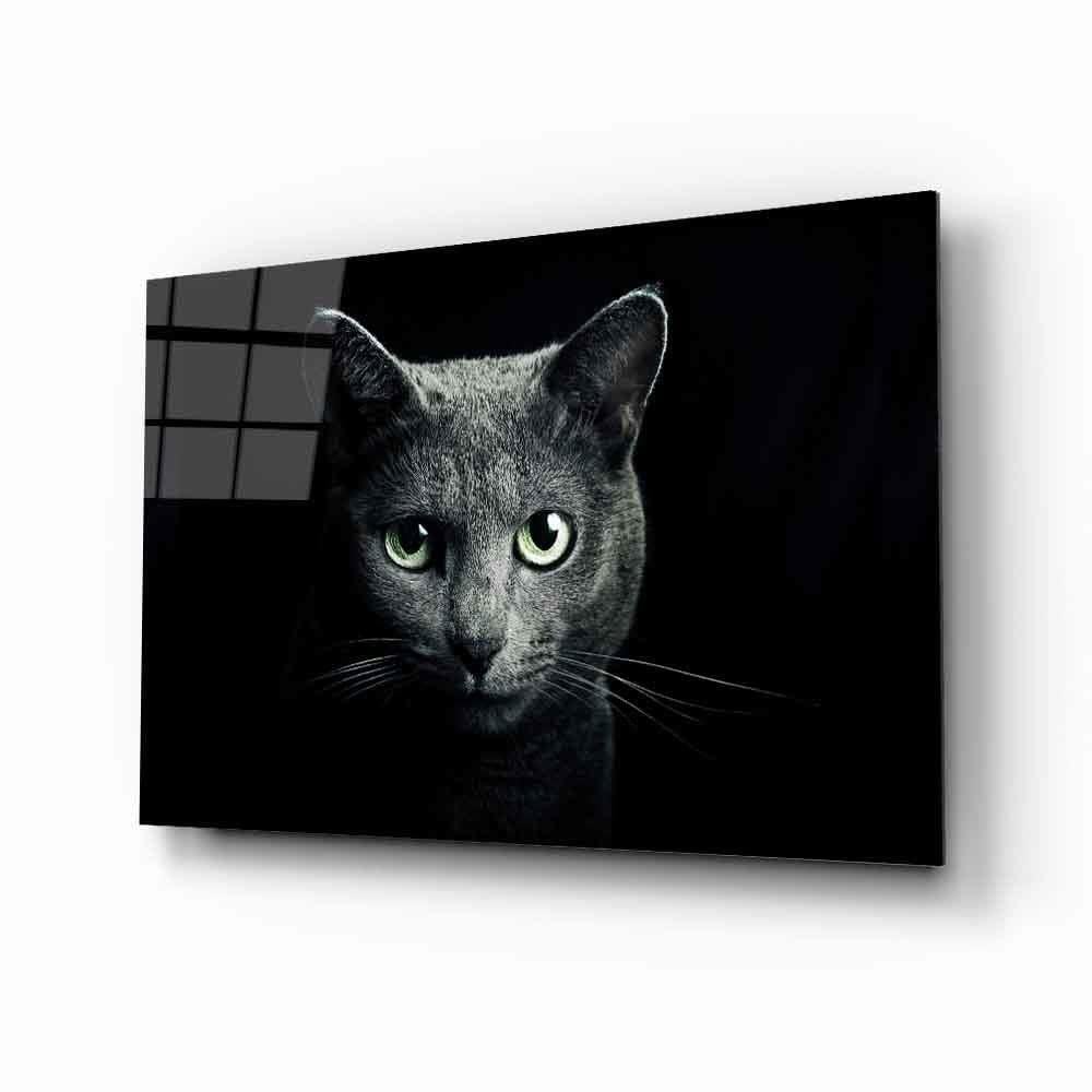 Kedi Hayvan  Cam Tablo