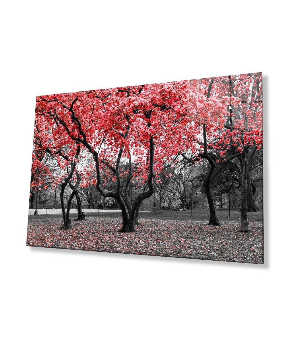 Kırmızı Ağaçlar Tablo 4mm Dayanıklı Temperli Cam  Brown Trees Starry Sky Glass Painting