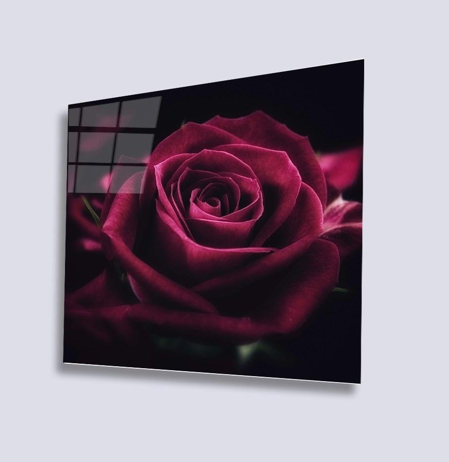 Kırmızı Gül Uv Baskılı Cam Tablo 4mm Dayanıklı Temperli Cam 50x50 Cm