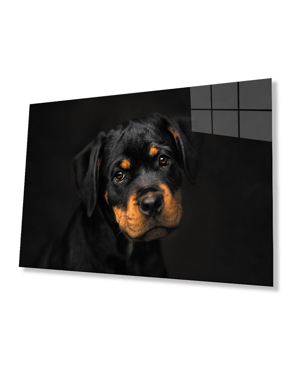 Köpek Cam Tablo  4mm Dayanıklı Temperli Cam Dog Glass Table 4mm Durable Tempered Glass