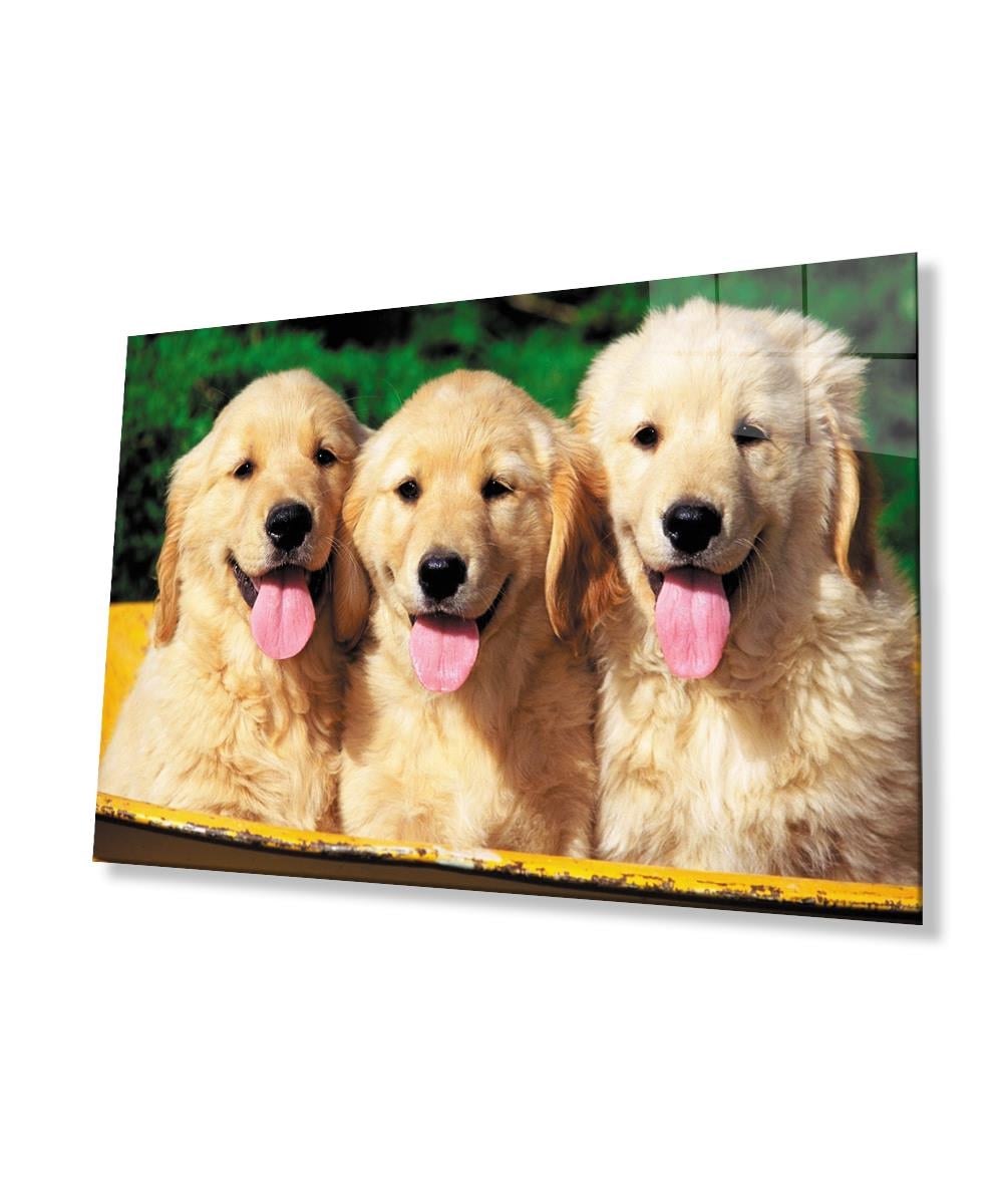Köpekler Cam Tablo  4mm Dayanıklı Temperli Cam