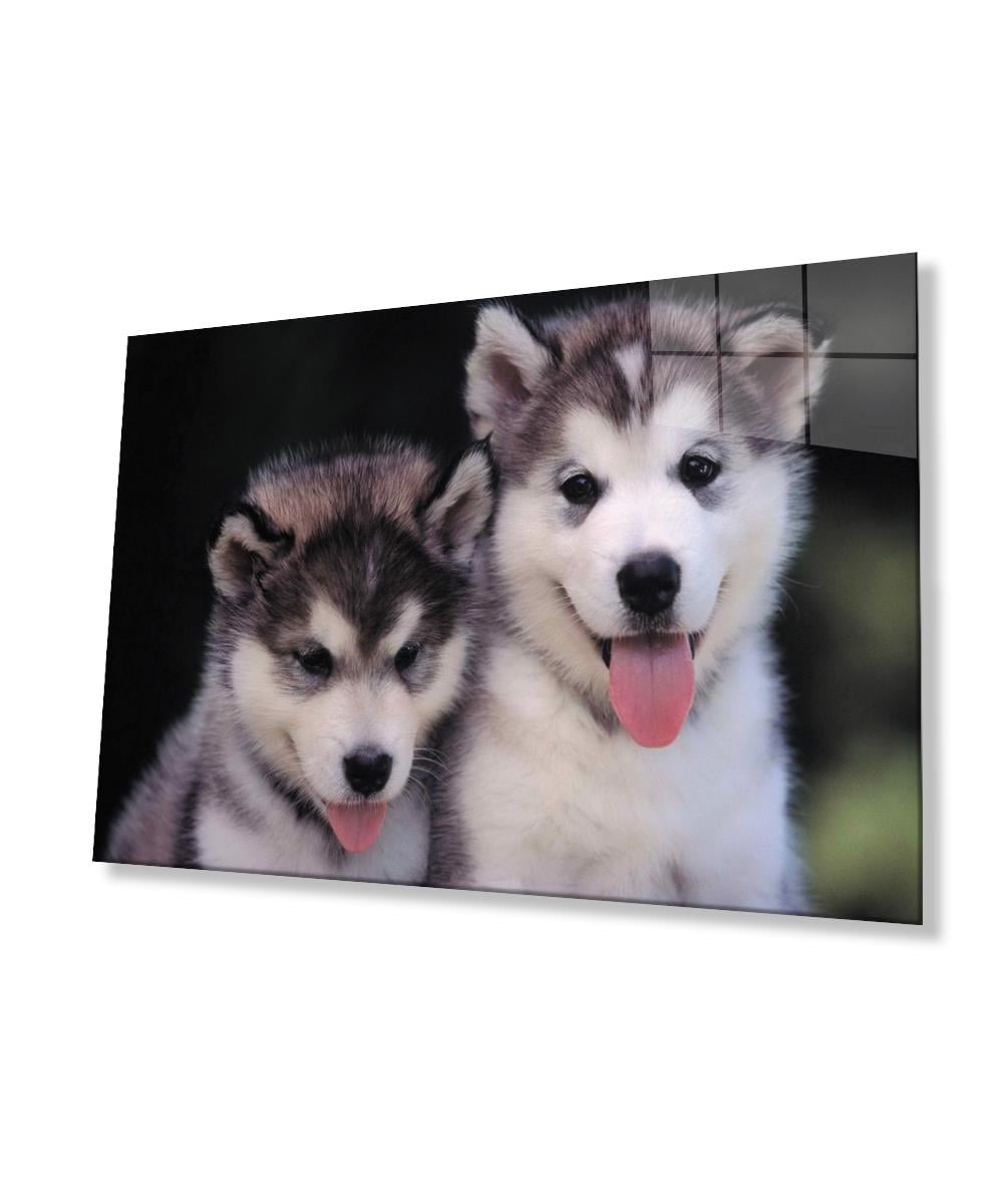Köpekler Cam Tablo  4mm Dayanıklı Temperli Cam