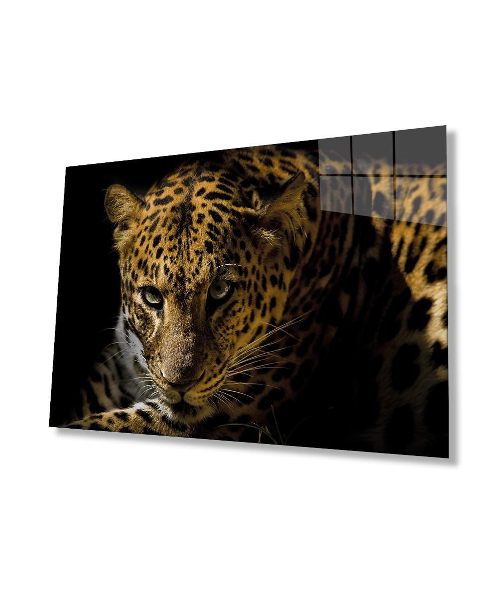 Leopar Hayvan 4mm Dayanıklı  Cam Tablo Temperli Cam, Leopard Glass Wall Decor