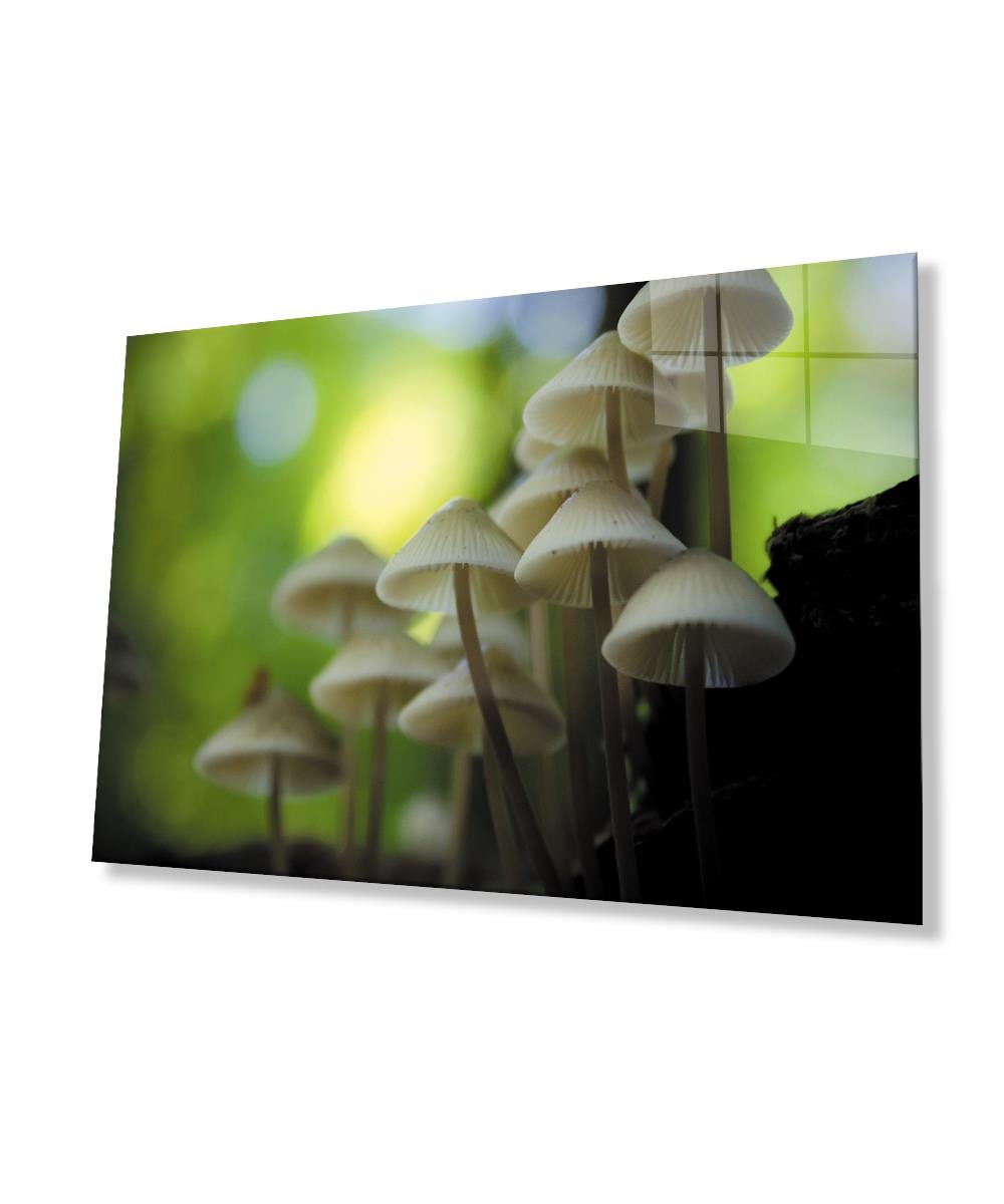 Mantar Bitki Yeşil Cam Tablo  4mm Dayanıklı Temperli Cam Mushroom Plant Green Glass Wall Art