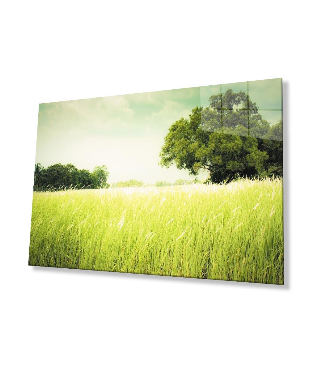 Manzara  Ağaç Yeşil Cam Tablo  4mm Dayanıklı Temperli Cam Landscape Tree Green Glass Wall Art