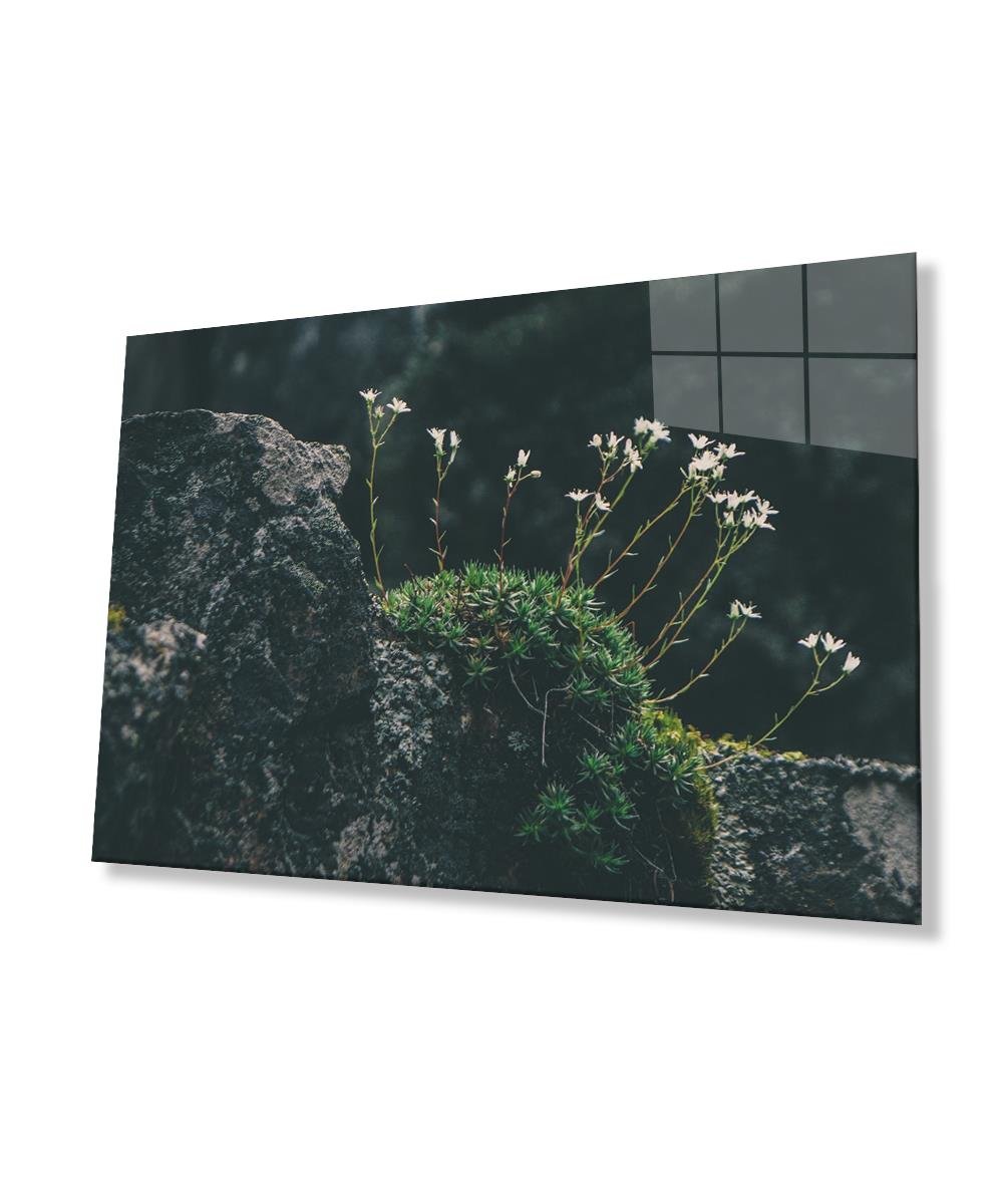 Manzara Çiçek  Yeşil Cam Tablo  4mm Dayanıklı Temperli Cam Landscape Flower Green Glass Wall Art