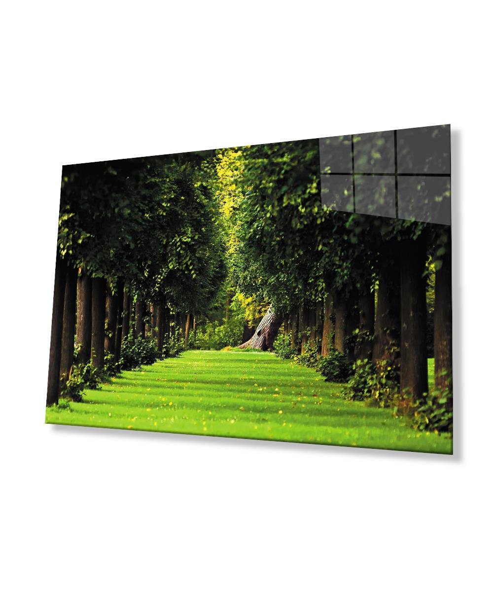 Manzara Orman  Ağaçlar Yeşil Cam Tablo  4mm Dayanıklı Temperli Cam Landscape Forest Trees Green Glass Wall Art
