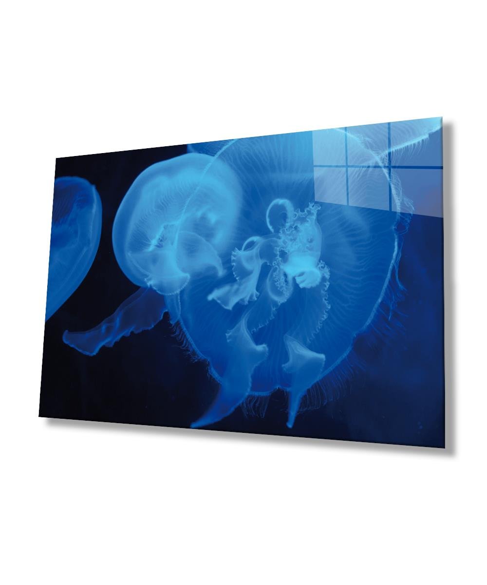 Mavi Denizanası Cam Tablo  4mm Dayanıklı Temperli Cam, Blue Jellyfish Glass Wall Art
