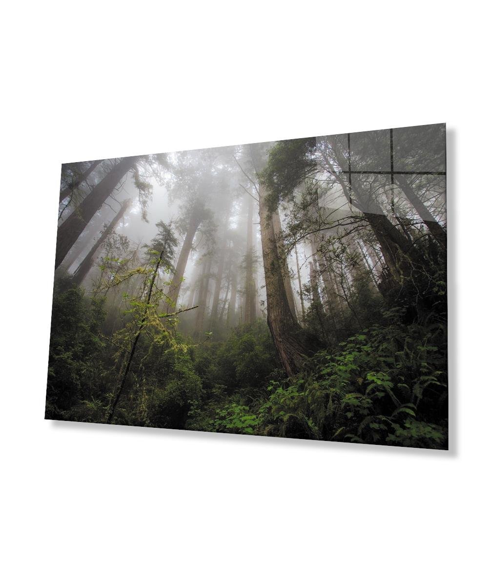 Orman Yeşil Manzara Ağaç  Cam Tablo  4mm Dayanıklı Temperli Cam Forest Green Landscape Tree Glass Wall Art