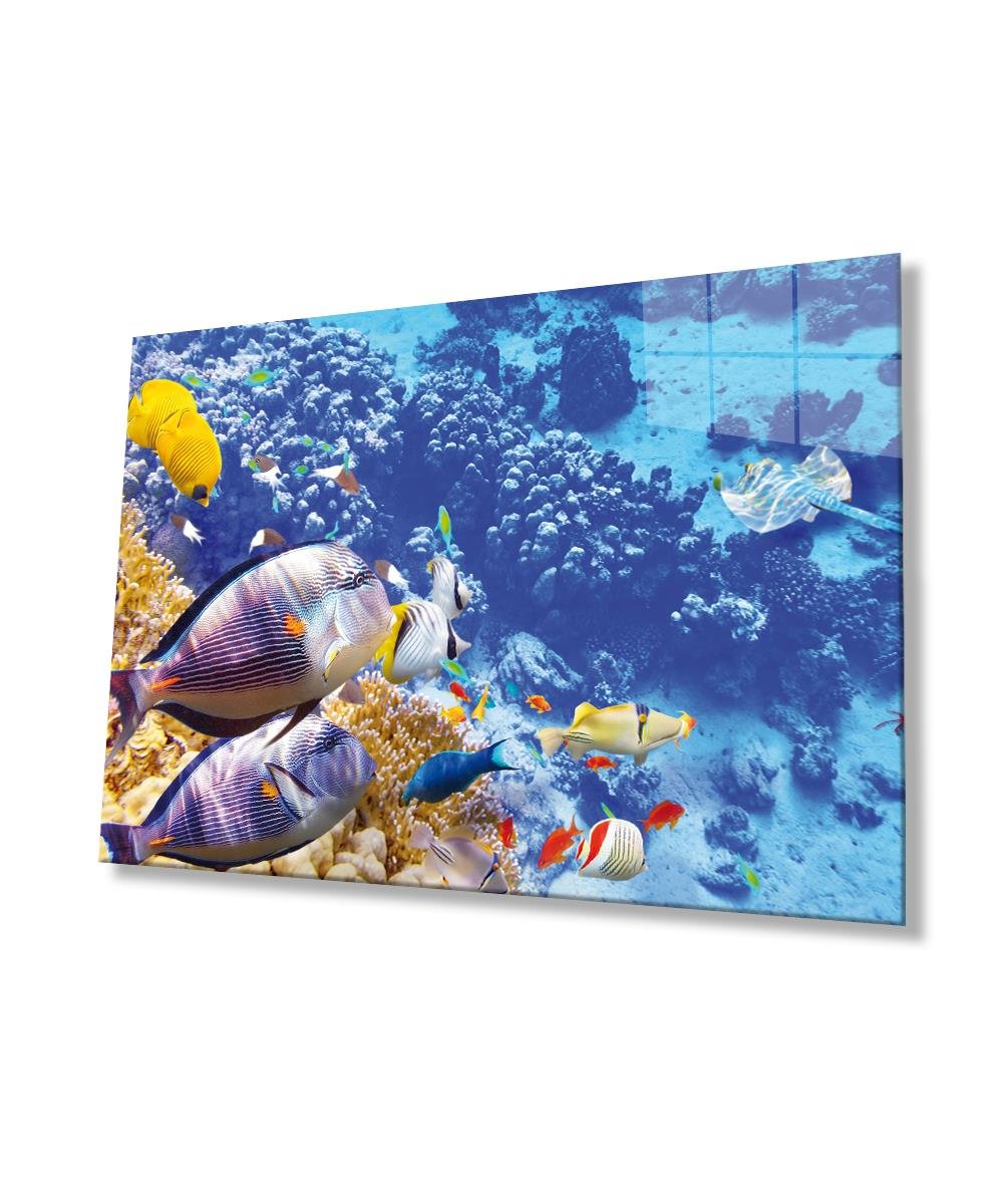 Renkli Balıklar  Cam Tablo  4mm Dayanıklı Temperli Cam, Colorful Fishes Wall Glass Art