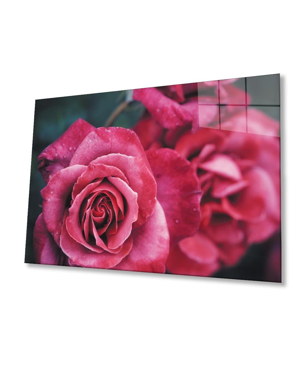 Rose Cam Tablo