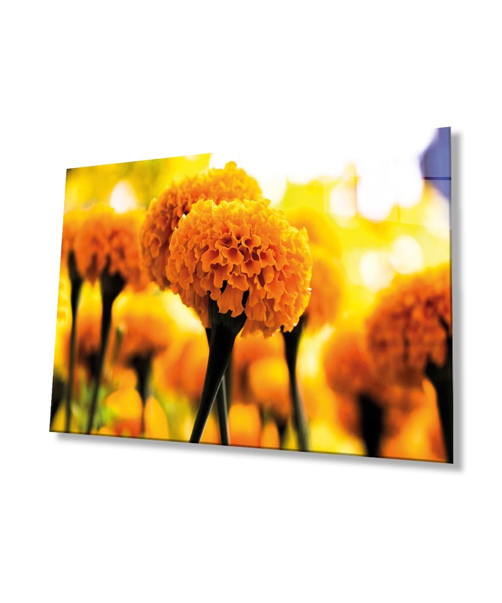 Sarı Çiçek Cam Tablo  4mm Dayanıklı Temperli Cam, Yellow Glass Wall Decor