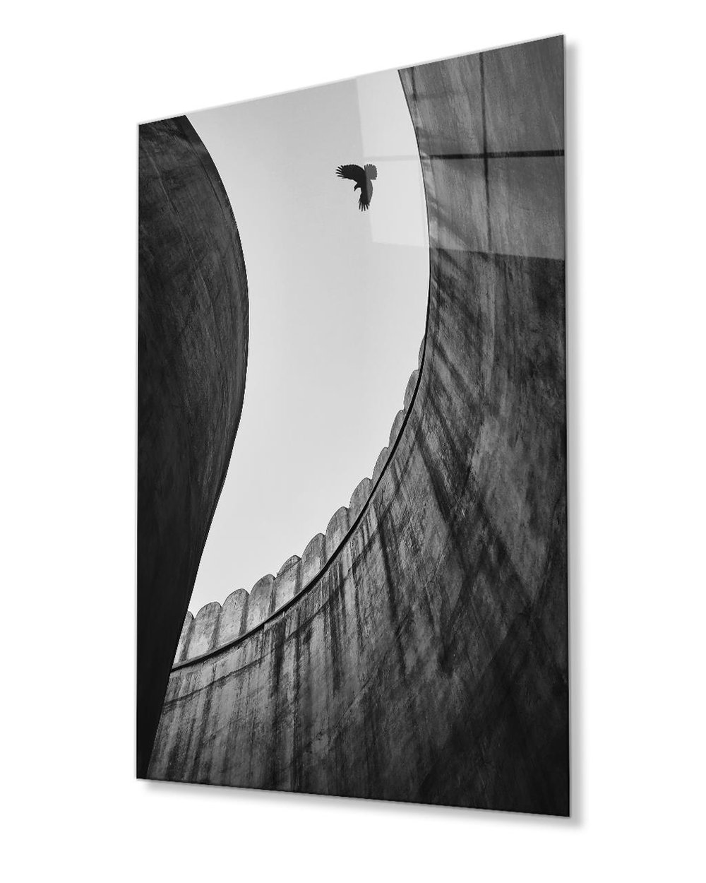 Siyah Beyaz Kartal Cam Tablo 4mm Dayanıklı Temperli Cam Black and White Eagle Glass Painting