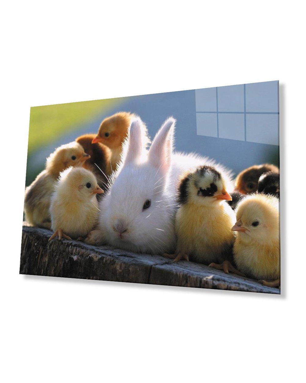 Tavşan ve Civcivler Cam Tablo  4mm Dayanıklı Temperli Cam Rabbit and Chicks Glass Table 4mm Durable Tempered Glass