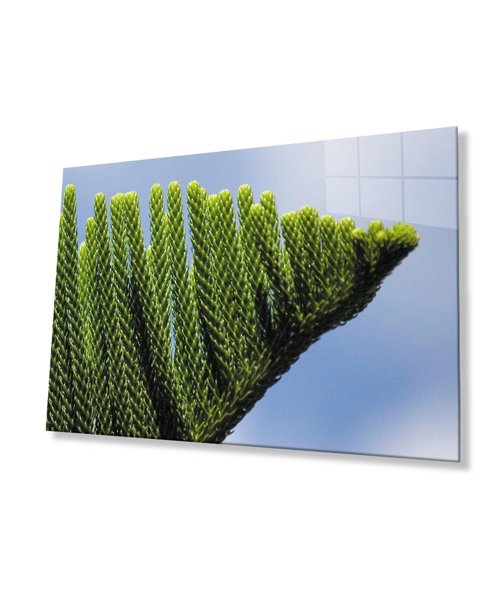 Yeşil Bitki Cam Tablo  4mm Dayanıklı Temperli Cam Green Plant Glass Wall Art