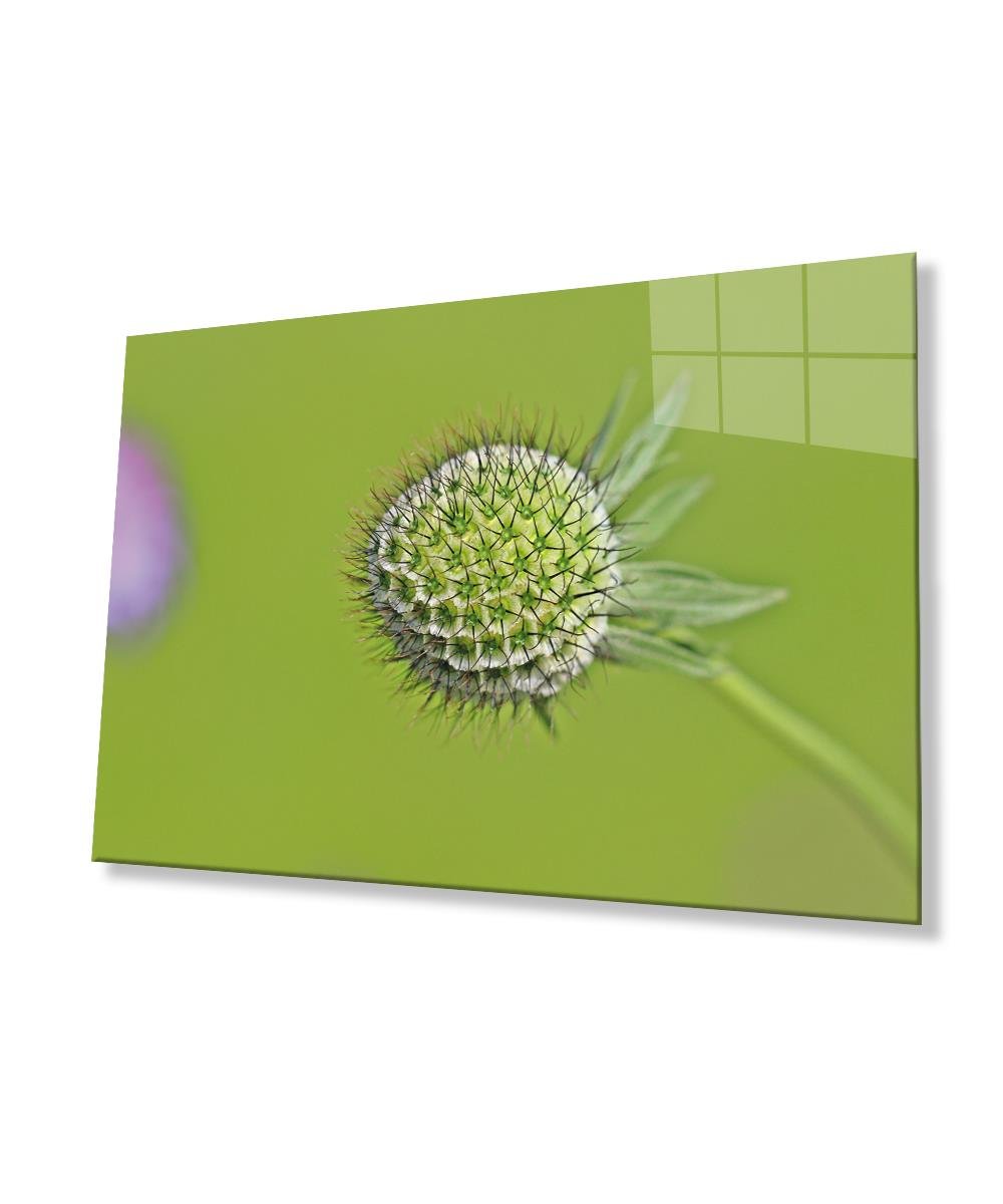 Yeşil Bitki Çiçek Cam Tablo  4mm Dayanıklı Temperli Cam Green Plant Flower Glass Wall Art