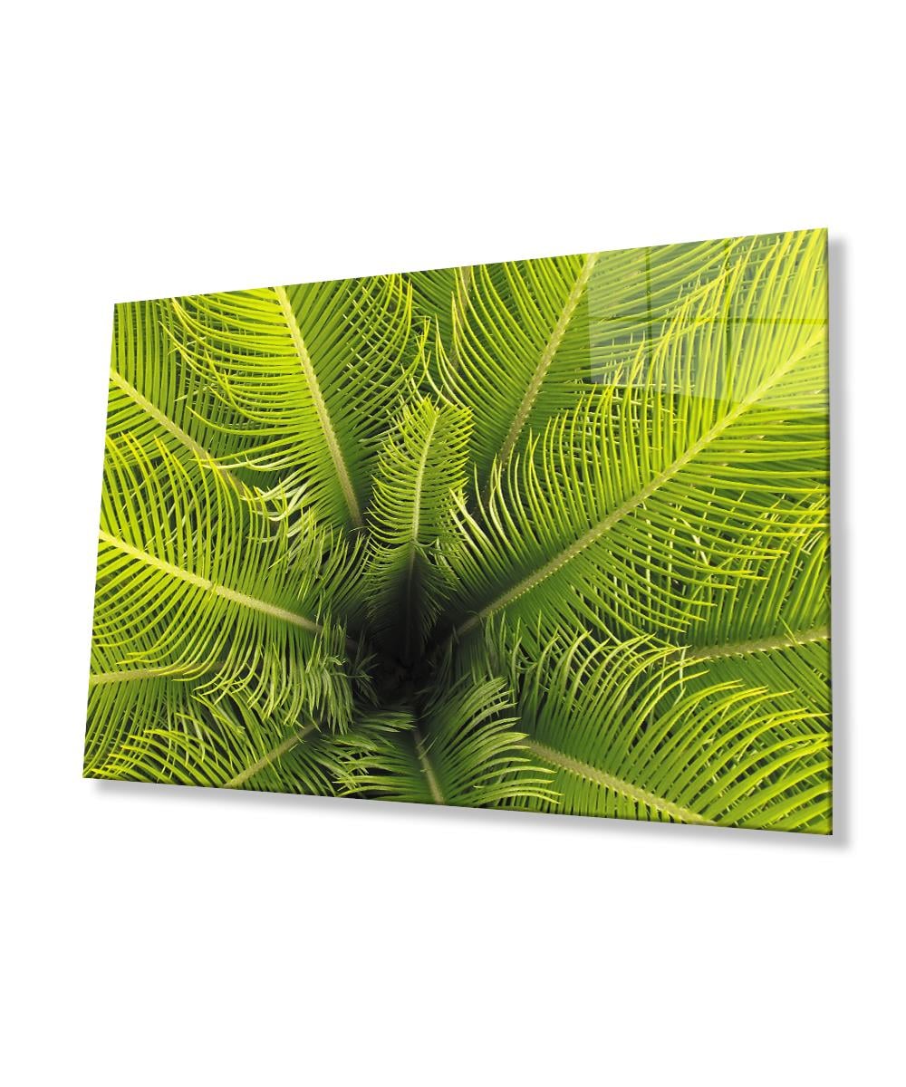 Yeşil Bitkiler  Cam Tablo  4mm Dayanıklı Temperli Cam Yeşil Bitkiler  Glass Wall Art