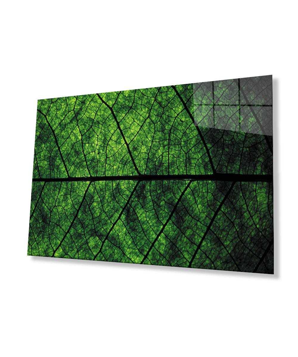 Yeşil Yaprak  Cam Tablo  4mm Dayanıklı Temperli Cam Green leaf Glass Wall Art