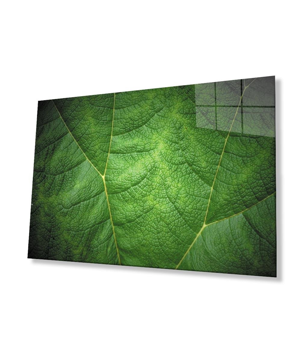Yeşil Yaprak Cam Tablo  4mm Dayanıklı Temperli Cam  Green Glass Wall Decoreaf