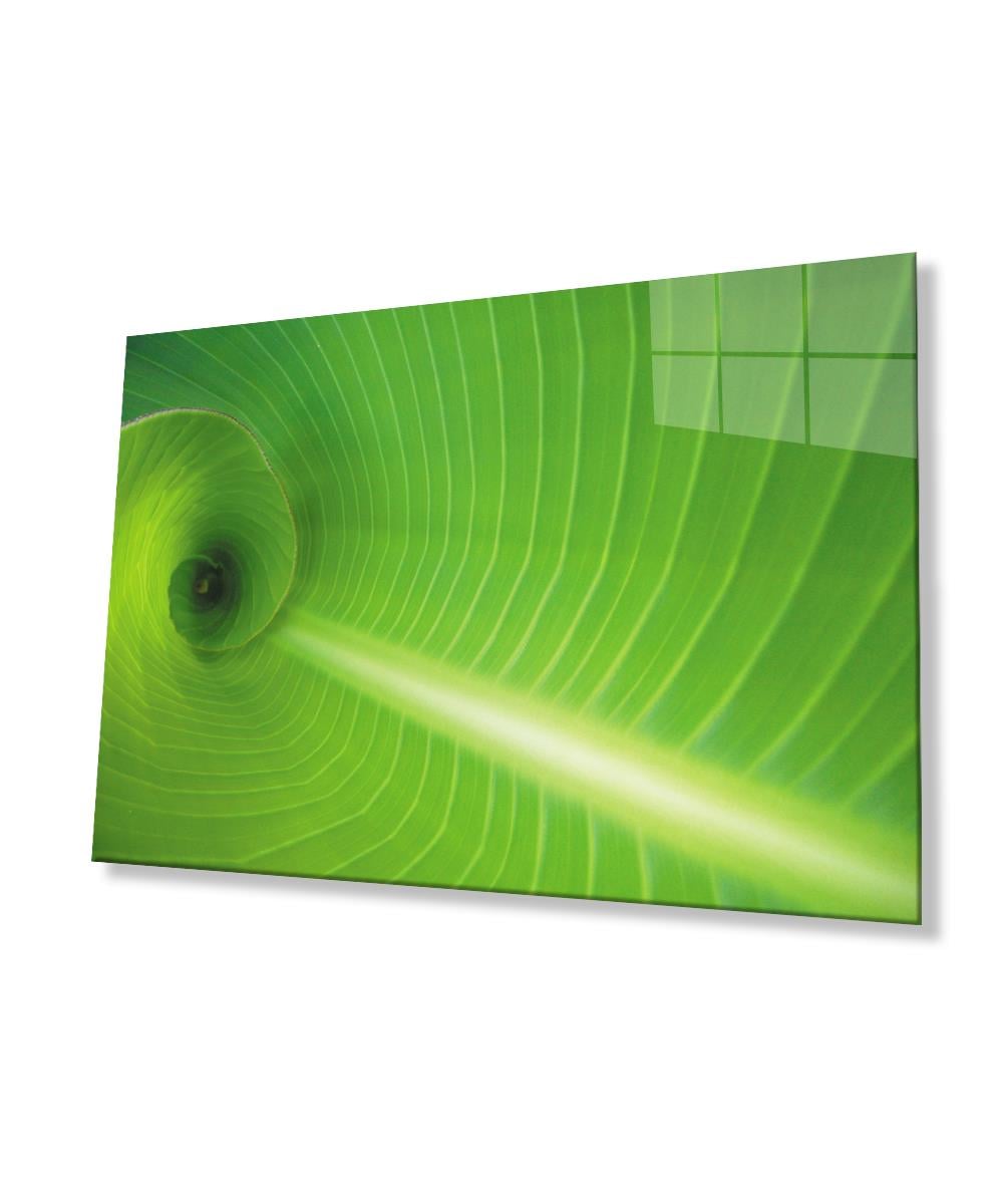 Yeşil Yaprak  Cam Tablo  4mm Dayanıklı Temperli Cam Green Leaf  Glass Wall Art