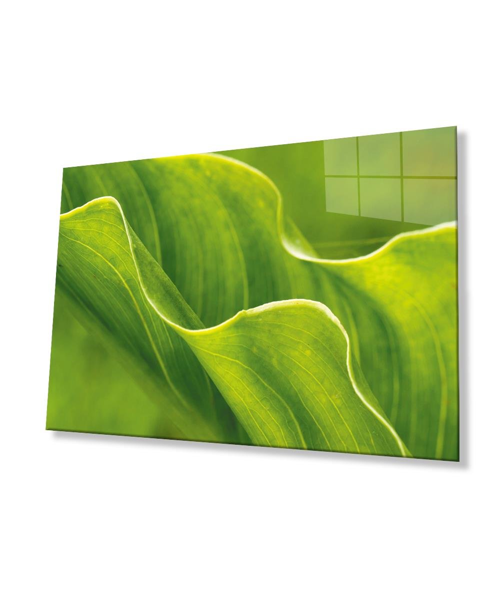 Yeşil Yapraklar Cam Tablo  4mm Dayanıklı Temperli Cam Green Leaves Glass Wall Art