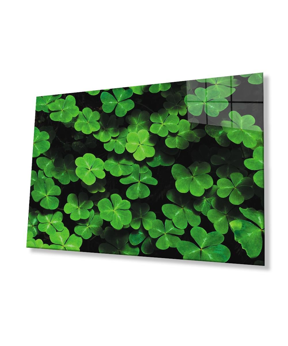 Yeşil Yonca  Cam Tablo  4mm Dayanıklı Temperli Cam Green Clover Glass Wall Art