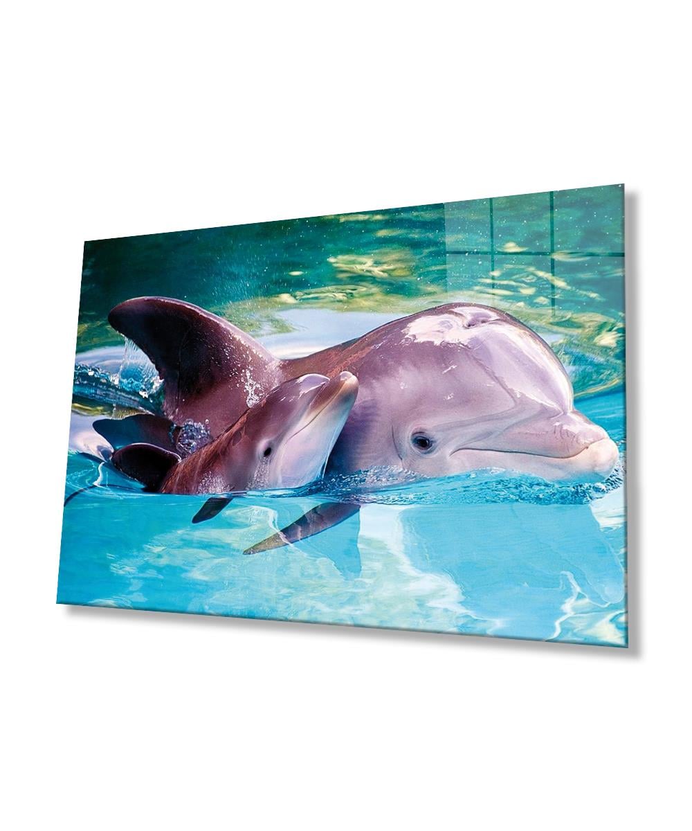 Yunus Balığı Cam Tablo  4mm Dayanıklı Temperli Cam, Dolphin Glass Wall Art