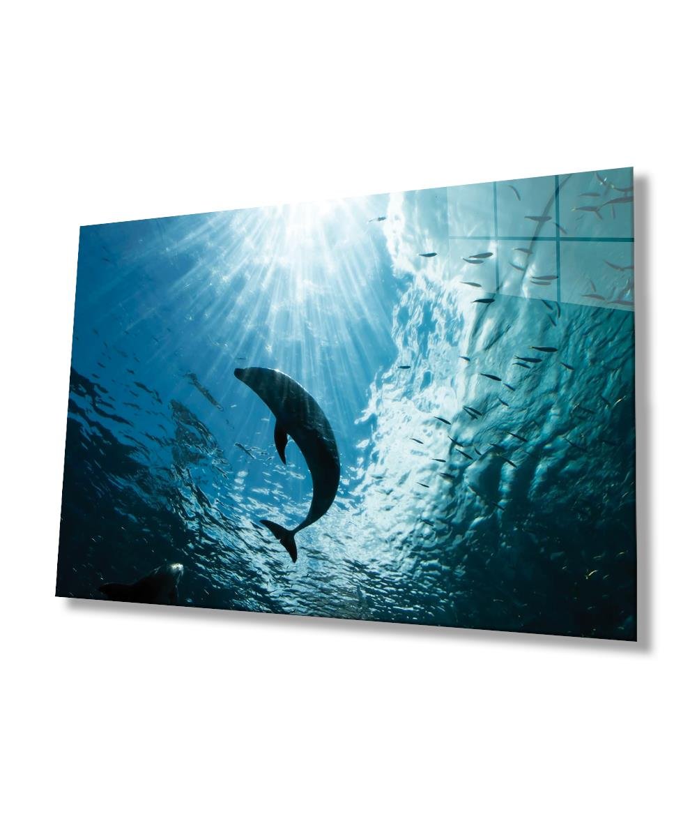 Yunus Balığı Cam Tablo  4mm Dayanıklı Temperli Cam, Dolphin Glass Wall Art