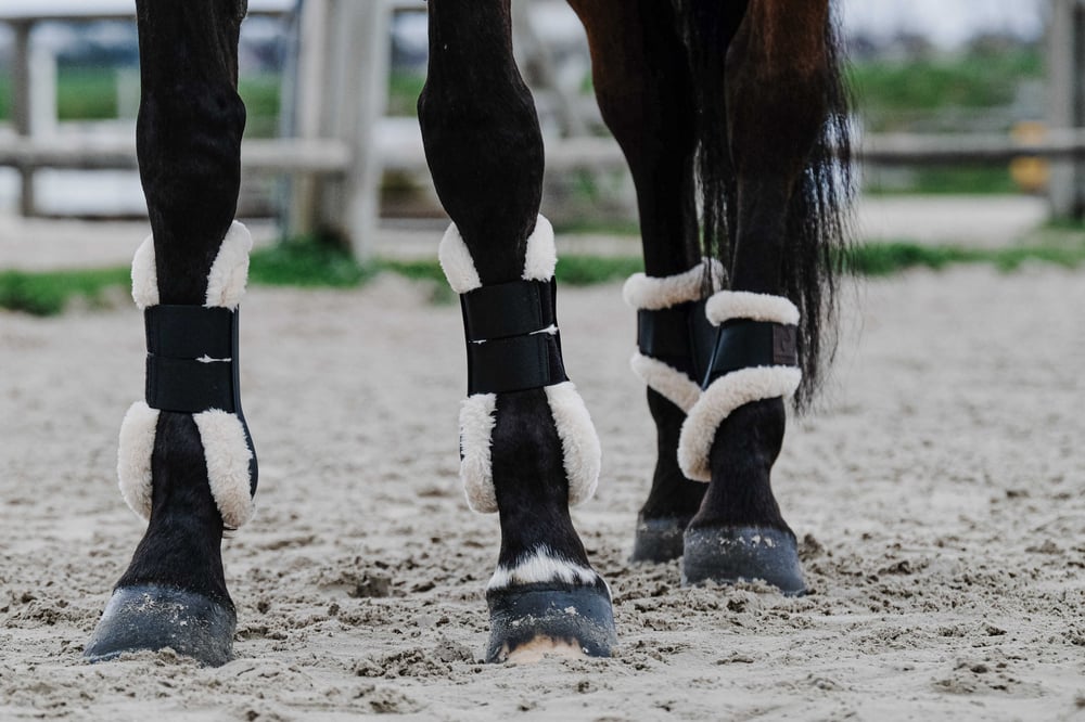At Tendon Koruma Getri - Equitheme Protege Boa