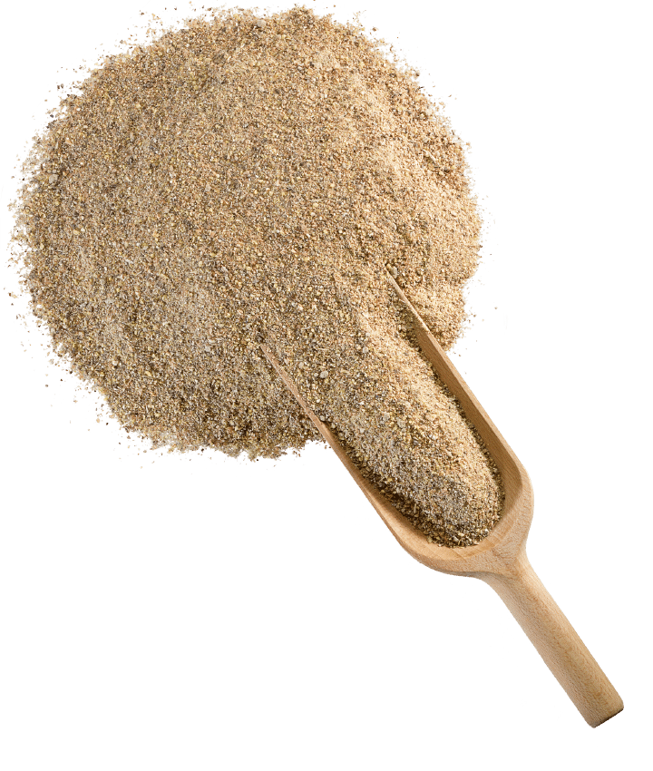 Derby Mash At Yemi