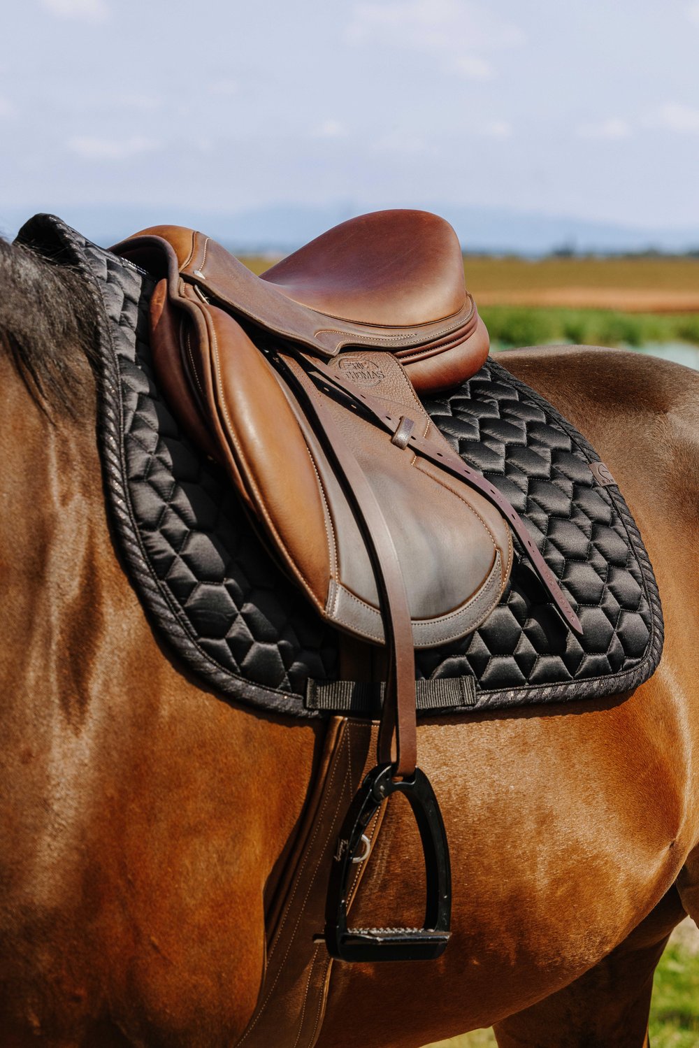 Equitheme Pretty Eyer Altı - Siyah