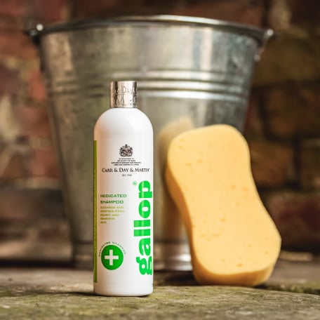 Gallop Medicated Shampoo