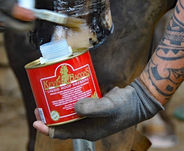 Kevin Bacons Liquid Hoof Dressing