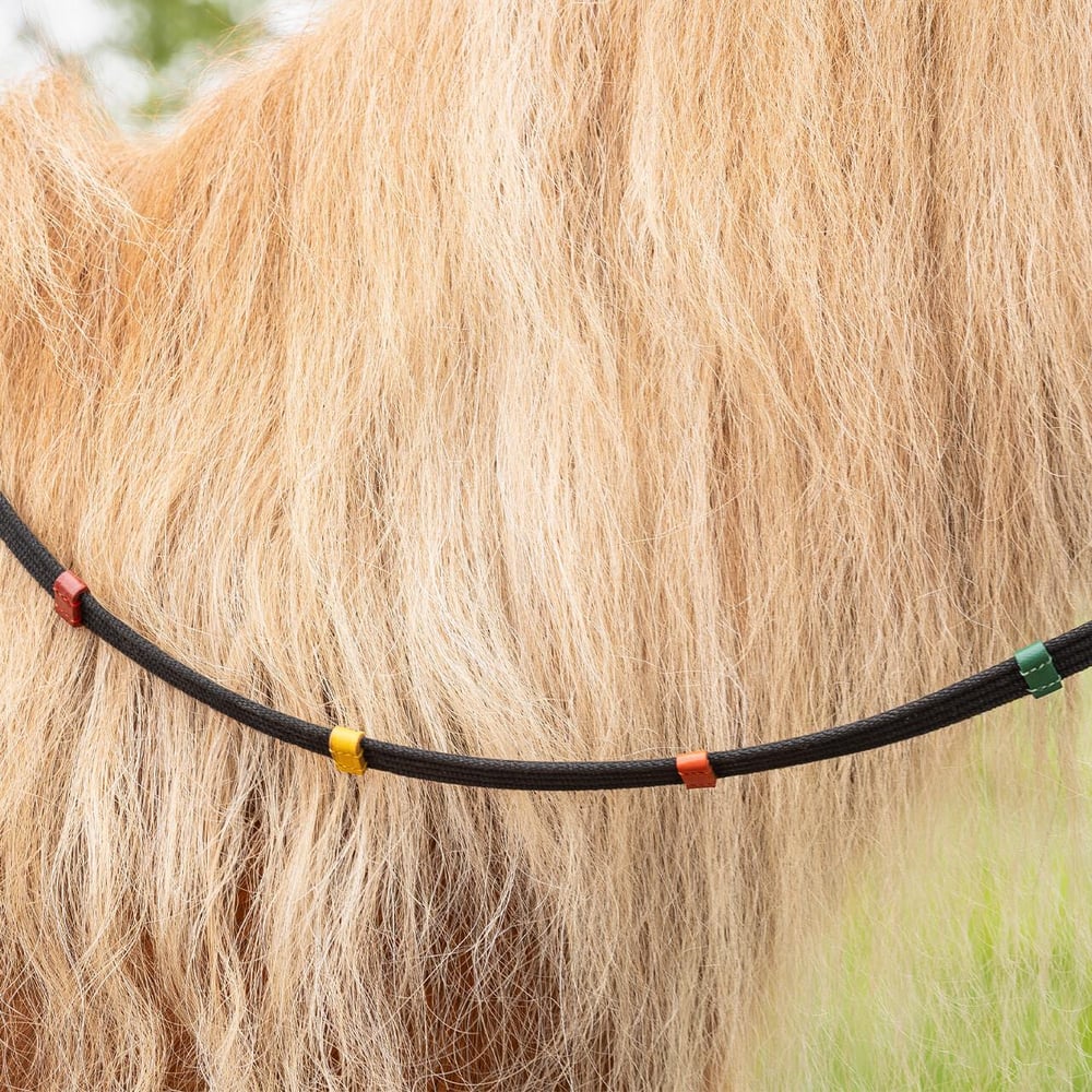Pony Dizgini Renkli Stoperli